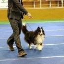 이지스힐 이미지