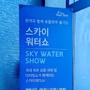 스카이워터쇼 네이버블로그
