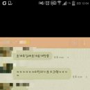 해달은 자기 보호를 위해 조개를 준다던데 (사진 주의!) 이미지