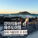 상모리-8 | 반려견동반 제주도 서쪽 여행 가볼만한곳 카멜리아힐 포함