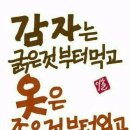 장수-5 이미지