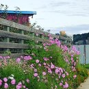 팔팔호텔 이미지