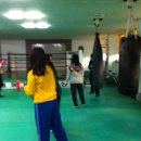 포항프라임복싱클럽 이미지