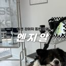 엔지알(ngr) 이미지