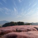 핑크플레이스