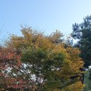 봉오재공원 이미지