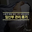 스파루체 이미지