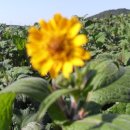 햇살농장 이미지