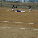 합덕초등학교 이미지