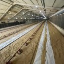 야곱축사 이미지