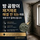 지수기공방 | 방 곰팡이 제거제로 해결 안 되는 이유, 전문가가 알려드립니다 곰팡이코리아