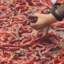 방시리민박 네이버블로그