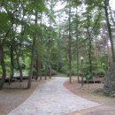 만수산자연휴양림 이미지