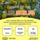 고흥 나의 유자나무 심기 이미지