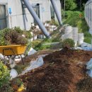 태일농장 이미지