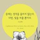 등대로L 이미지