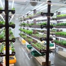 아라소프트 주식회사 이미지