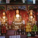 보광(아) 이미지