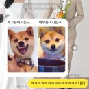 그린한우농장 이미지