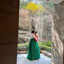 도림두산베어스타워 | 육아 / 돌잔치 : 롯데호텔서울 도림 돌잔치 타임라인 및 팁(w. 일정 및 환복팁)