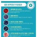 라파셀