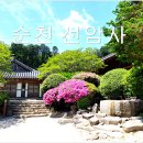 순천-65호 Daum카페