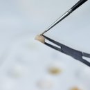 진흥치과기공소 이미지