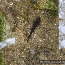 세븐일레븐 광주지산점 | [광주/담양/부여] 6살 아이와 1박 2일 여행_무등산 생태탐방원, 담양 죽녹원, 국립부여박물관