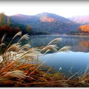 행복한날들 이미지