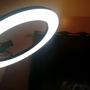 털털한왕언니 이미지