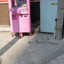 은어송초등학교 이미지