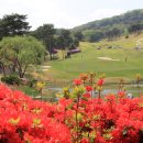 여주-0594 이미지