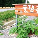 경주글램존