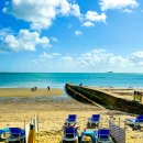 프레시베이 이미지