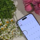 순천-10호 | 순천 웨딩밴드 예물 반지 랩다이아몬드 화이트골드 라레브골드 수령 완료 내돈내산 후기