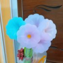 동오초등학교 이미지