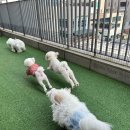 하이유치원 이미지