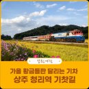 10월 17월 / 대세 과일 상주 '샤인머스켓'포도 / 낙동강 물길 0행 이미지