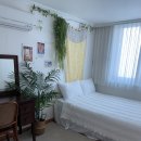 제이미룸 이미지