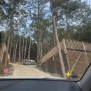 선운밥상 | 횡성 캠핑장 스므나리캠핑장 전나무 숲뷰에 깨끗한 시설 신생 캠핑장 후기 및 명당 추천