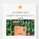 부산지역화폐 &#34;동백전&#34; 실생활에서 짠테크! 동백전의 모든 것
