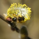 자연생한의원 이미지