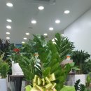 고현-0005 이미지