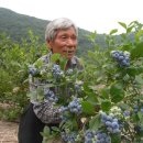 분도농장 이미지