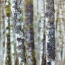 창원탑치과의원 이미지