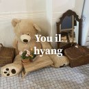 유일향 이미지