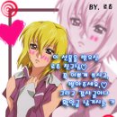 로츄 Daum카페