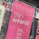사주타로커피 이미지
