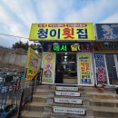 청이네맛집 | 속초 외옹치항 청이횟집 시부모님의 단골 맛집 후기