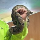 자연아놀자박물관 | 강릉 아기랑 가볼만한 곳 ‘자연아놀자’ 생태체험박물관